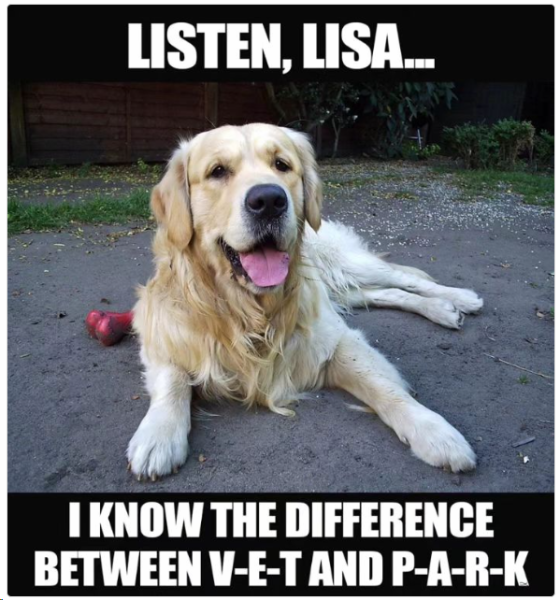 1711531994342.png