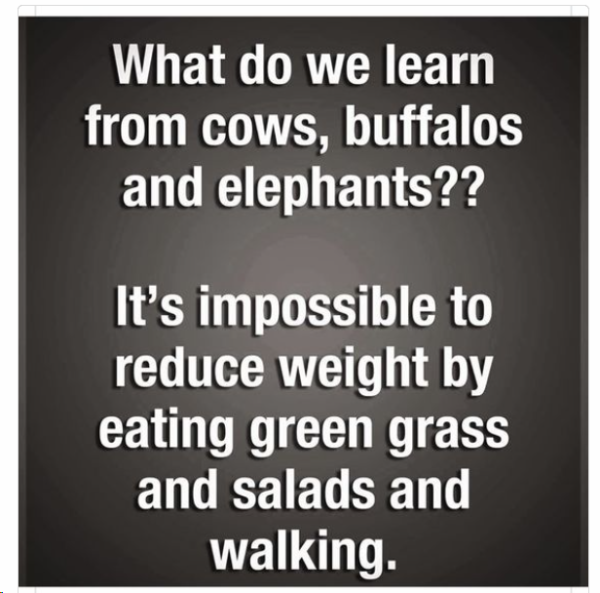 1711706890292.png