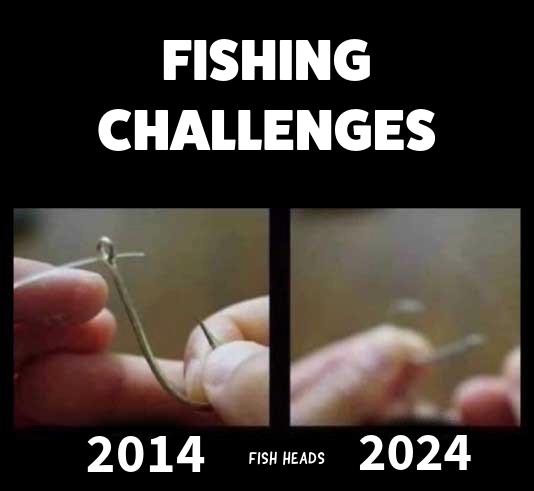 1711899114972.jpeg