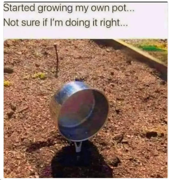 1712399089797.png