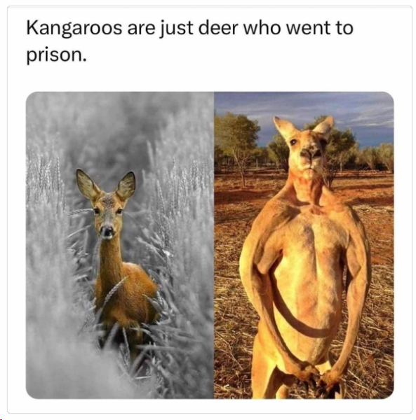 1712485521667.png