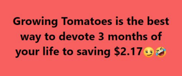 1712656934248.png