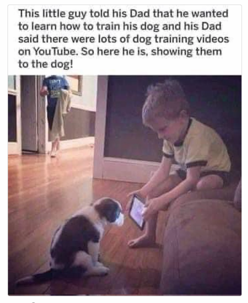 1712915207118.png