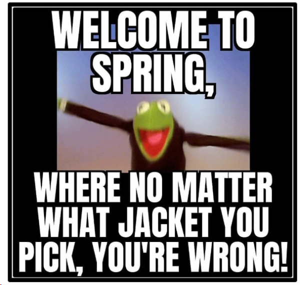 1713088128691.png