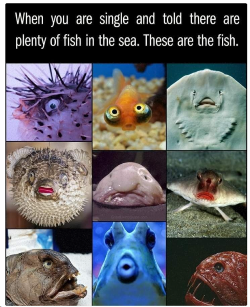 1713088217540.png