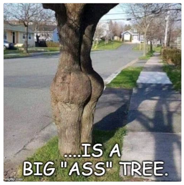1713431688730.png