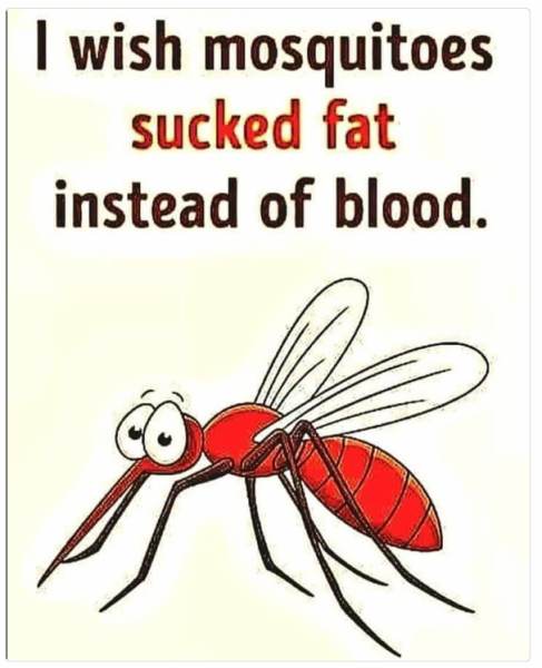 1713956383159.png