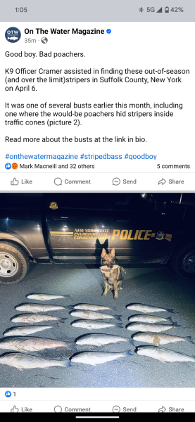 1714430349618.png