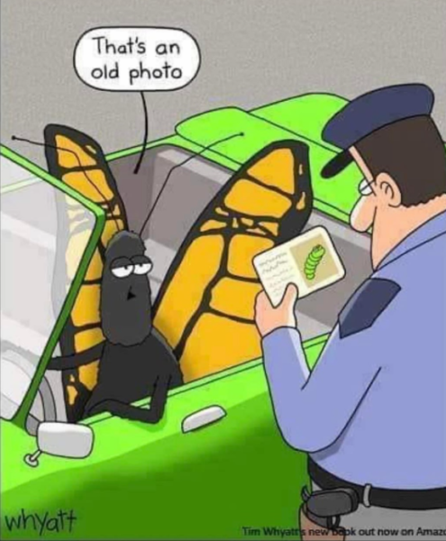 1714468563523.png