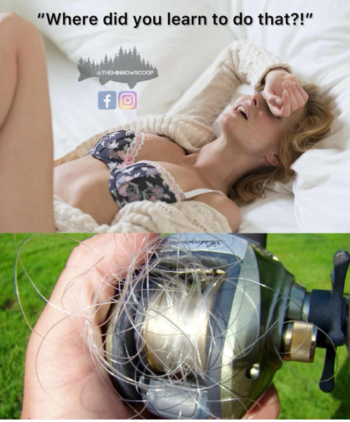 1714638304565.png
