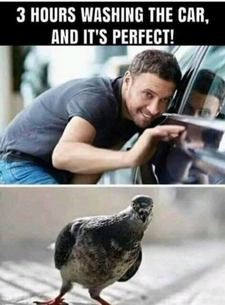 1715220096796.png