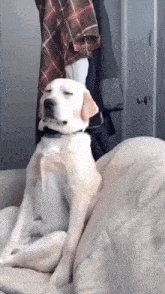 1715299317975.gif