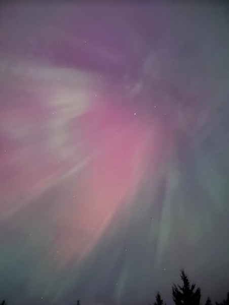 1715396527150.png