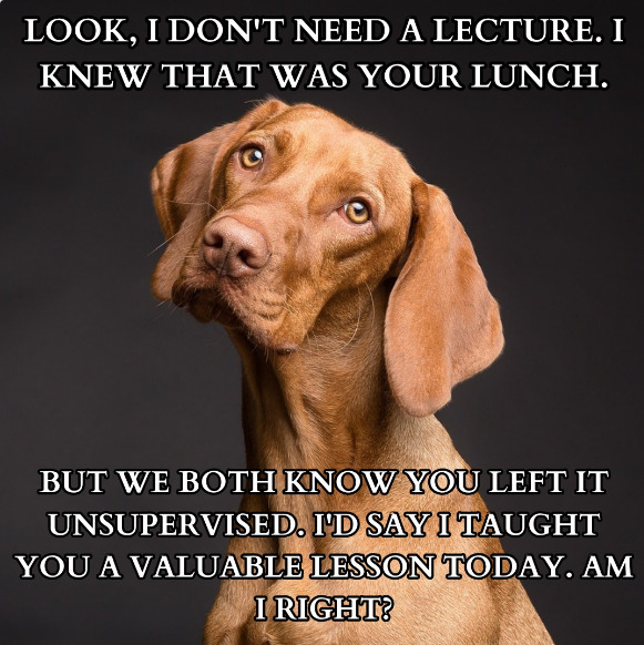 1715423835221.png