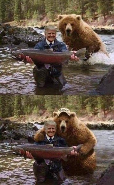 1716654964198.jpeg