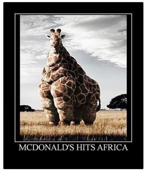 1717077572272.png