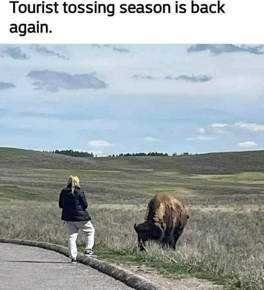 1717774065667.jpeg