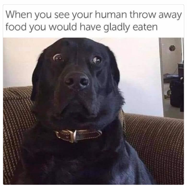 1718563296416.png