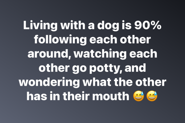 1720297084473.png