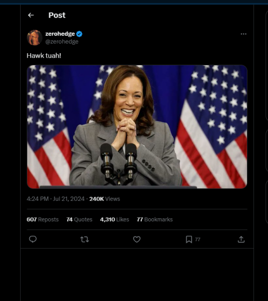 1721598308310.png