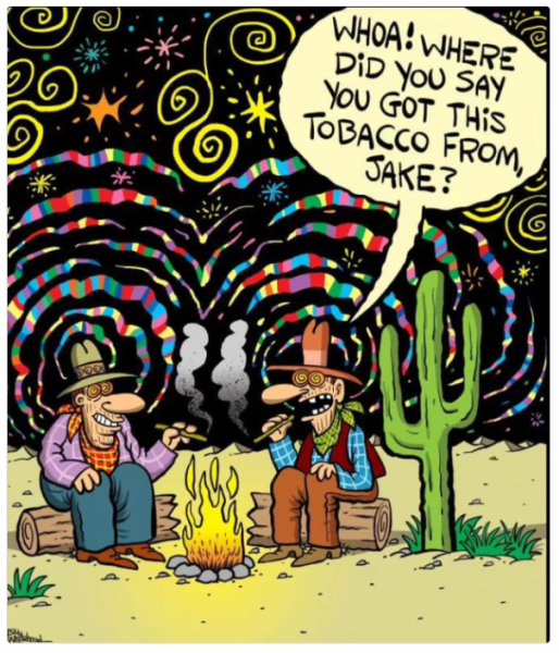 1721815446016.png