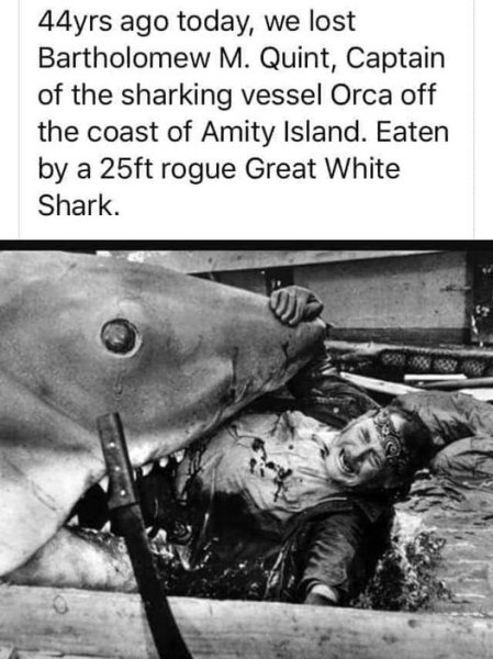 1722021122068.jpeg