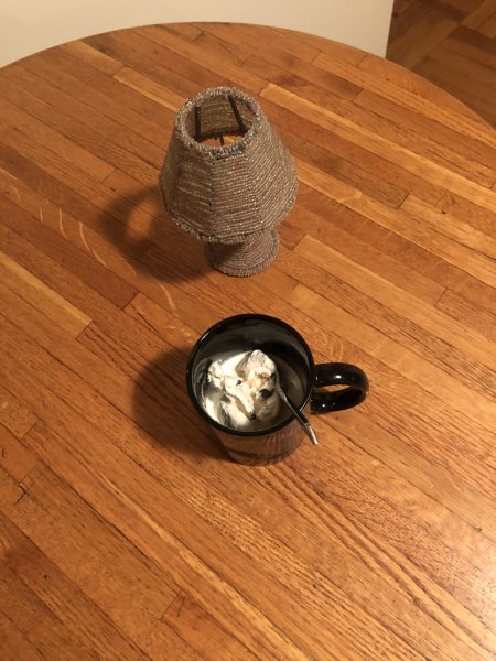 1722141328469.jpeg
