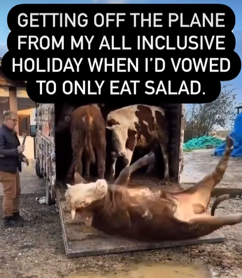 1723037578250.png