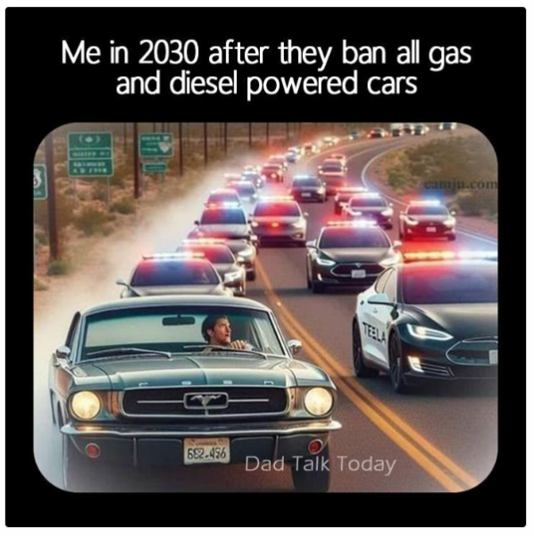 1723197228194.png
