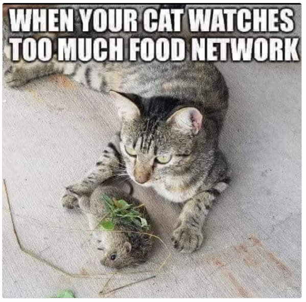 1723197274424.png