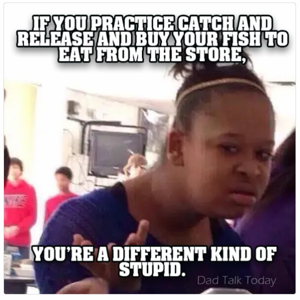 1723281567334.png