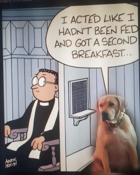 1723544657848.png