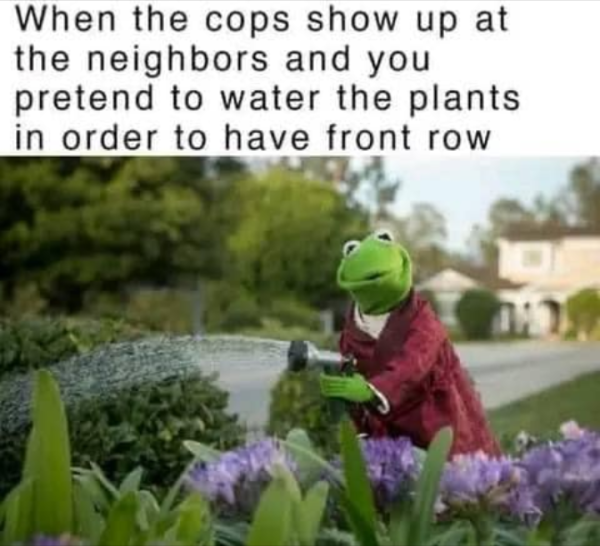 1723672097349.png