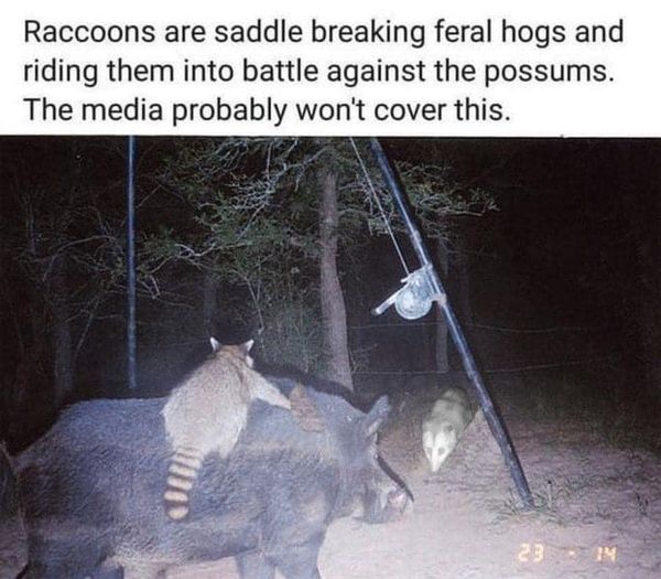 1723857703703.jpeg