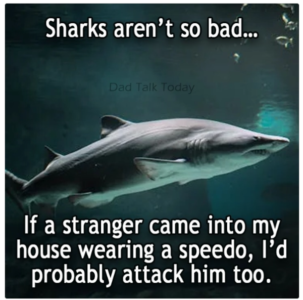 1724148921289.png
