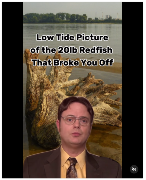 1724768936334.png