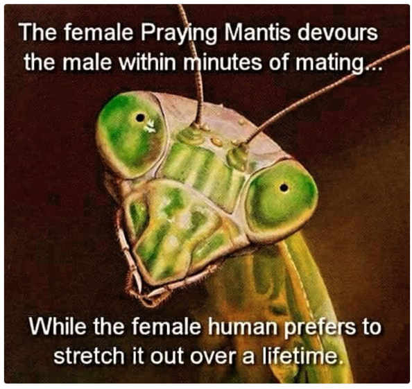 1725022515456.png