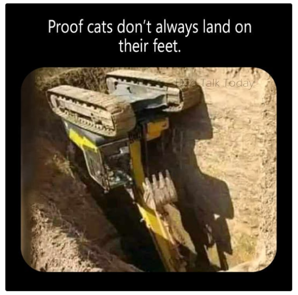 1725022826155.png