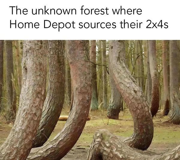 1725121714695.jpeg