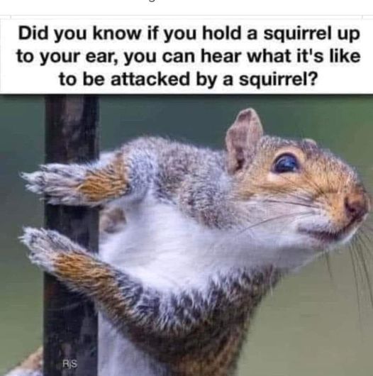 1725212101195.jpeg