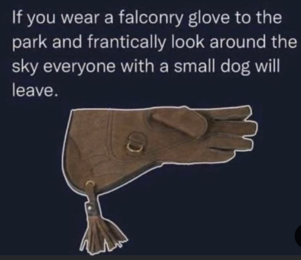 1725410755189.png