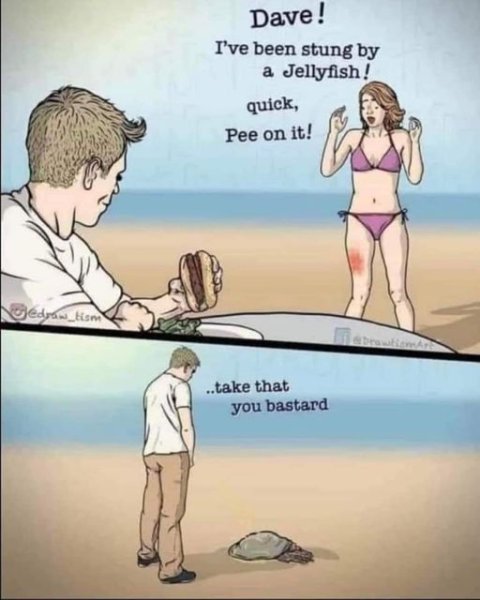 1725650418795.jpeg