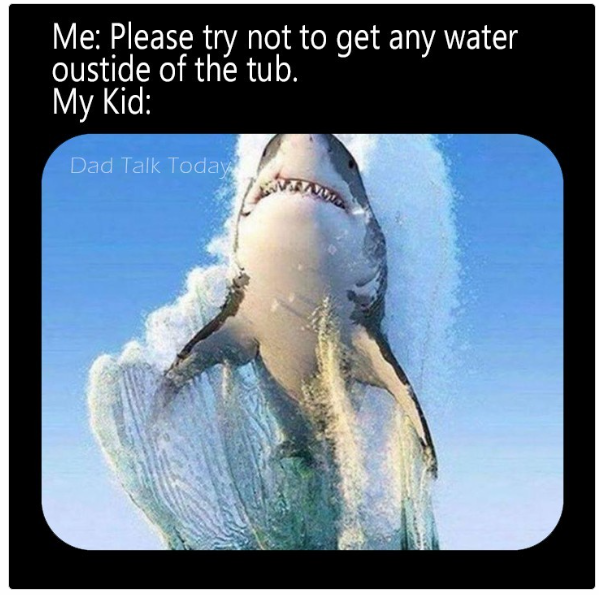 1725752356642.png
