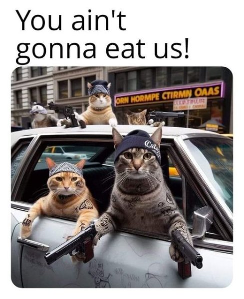 1726189471692.jpeg