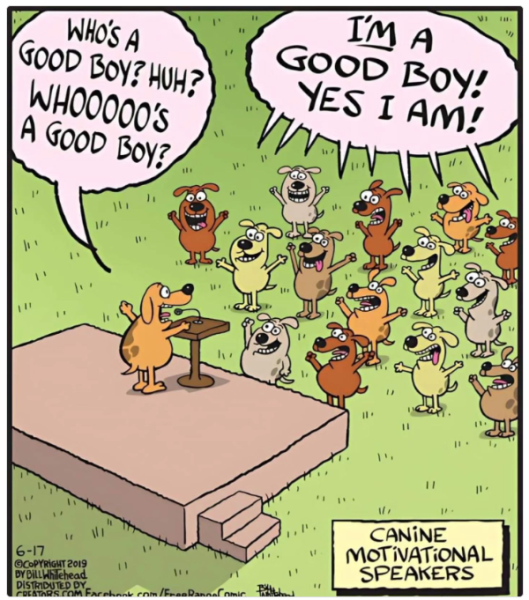 1726216498654.png