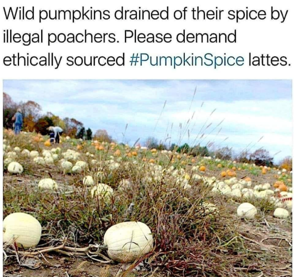 1726739319381.png