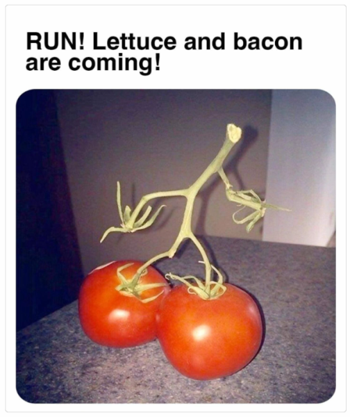 1726740463018.png
