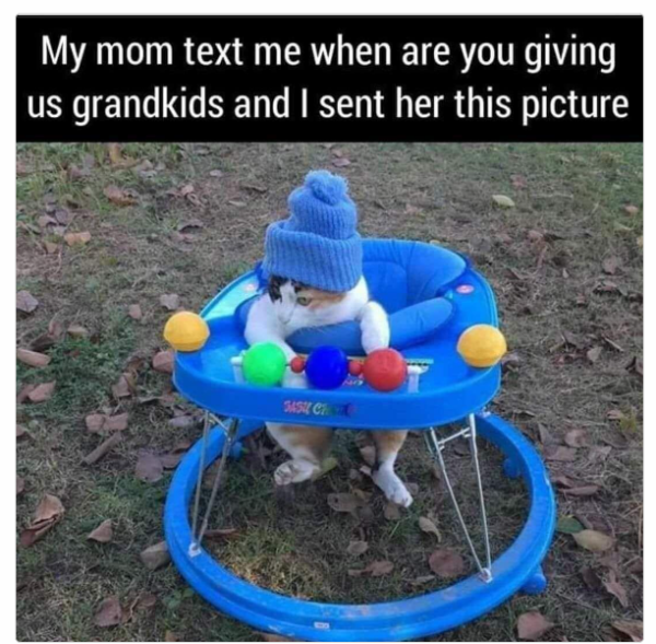 1726830441775.png