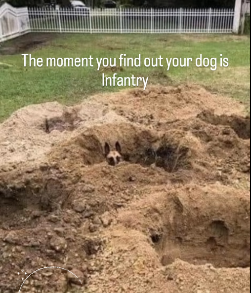 1726952427937.png