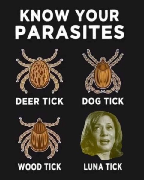 1727032399189.jpeg